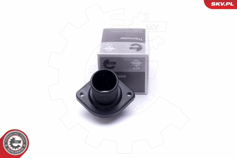 Thermostat, coolant